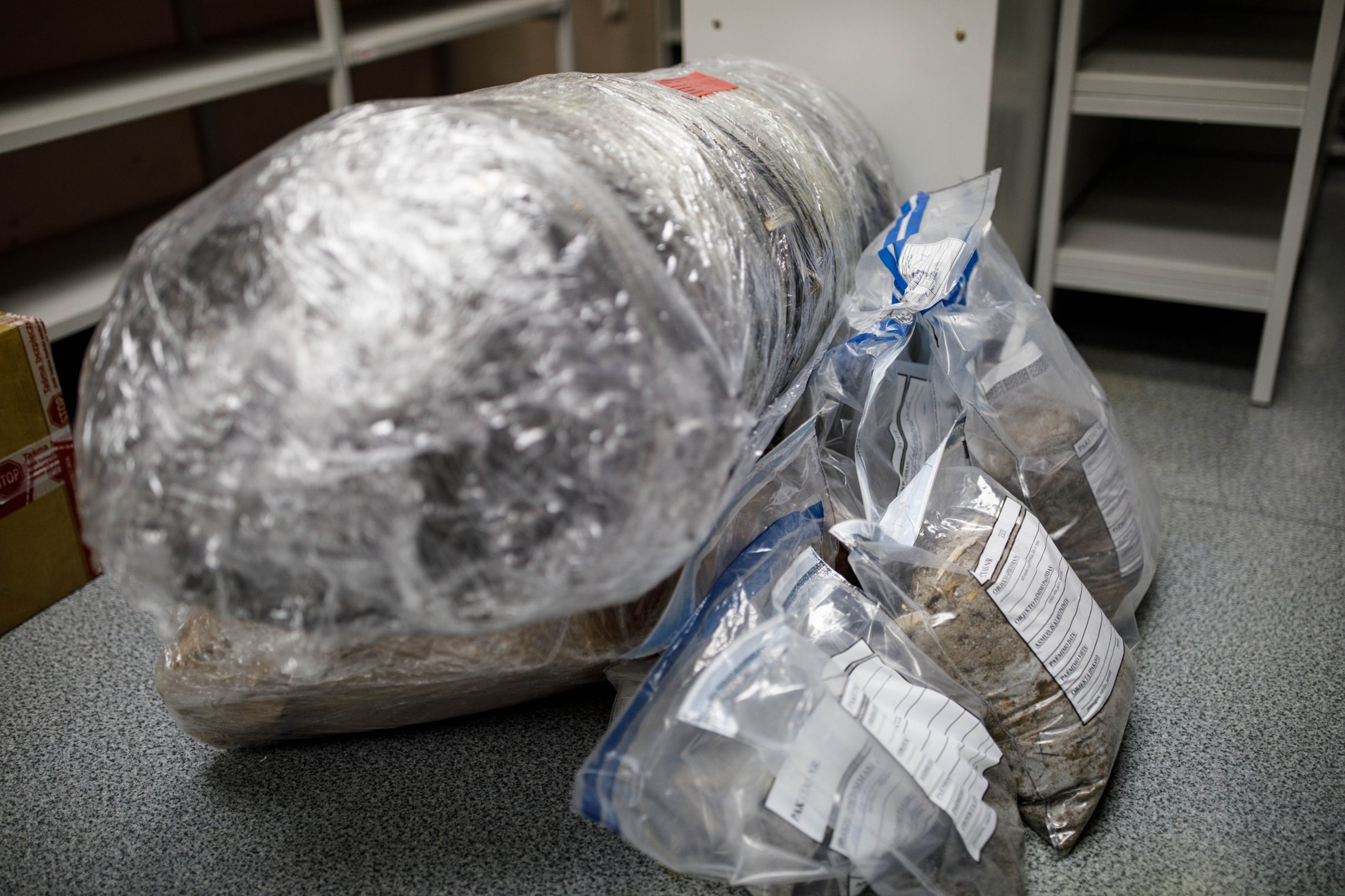 Iliustracija