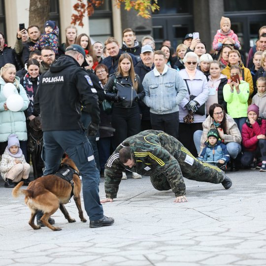 Iliustracija