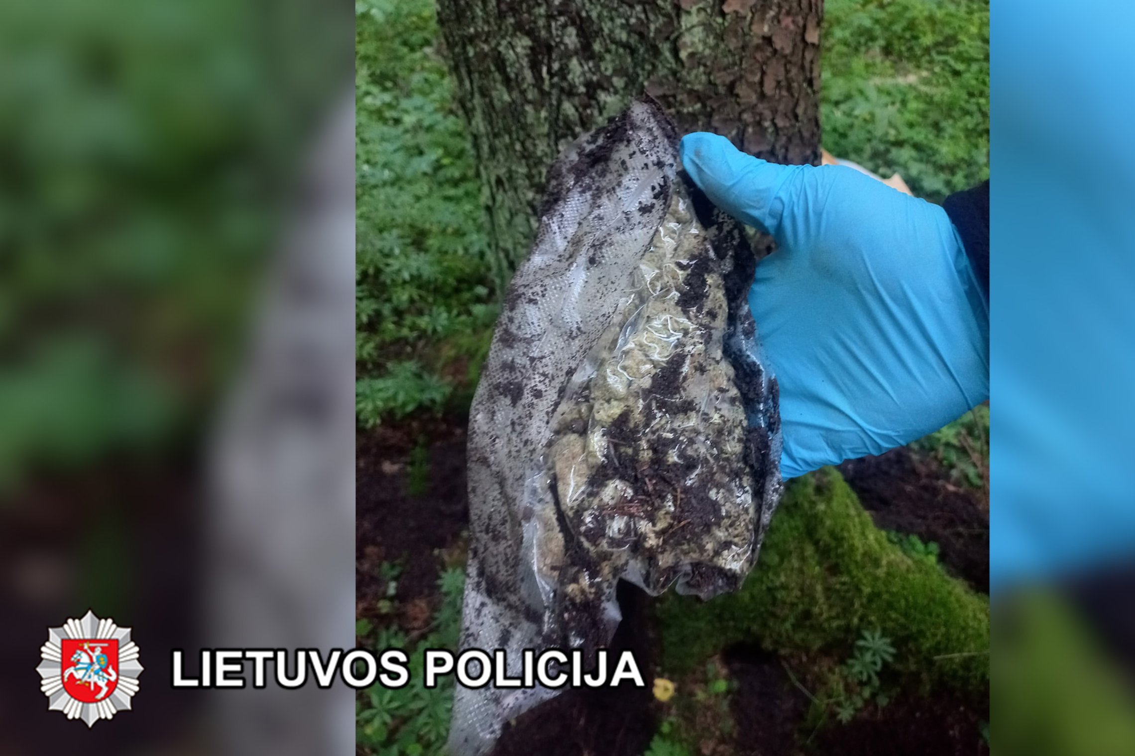 Iliustracija
