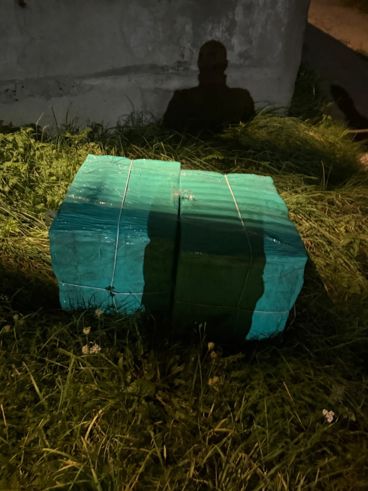 image1.jpeg